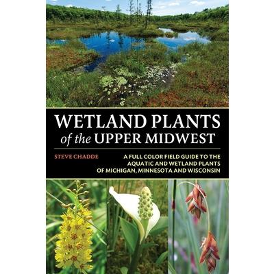 Wetland Plants of the Upper Midwest