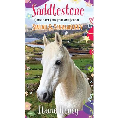 Saddlestone Connemara Pony Listening School Sinead and Strawberry