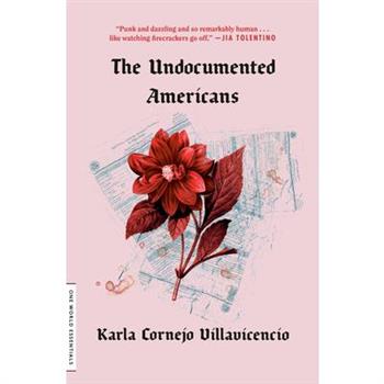 The Undocumented Americans