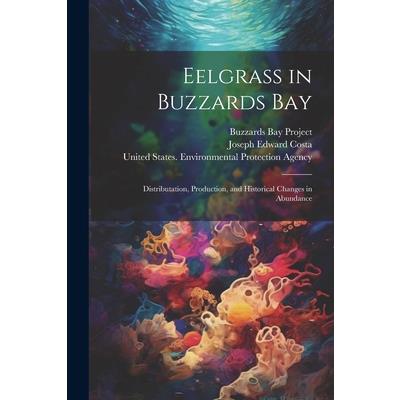Eelgrass in Buzzards Bay