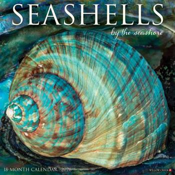 Seashells 2026 Wall Calendar