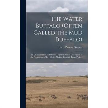 The Water Buffalo (Often Called the Mud Buffalo) The Water Buffalo (Often Called the Mud Buffalo)