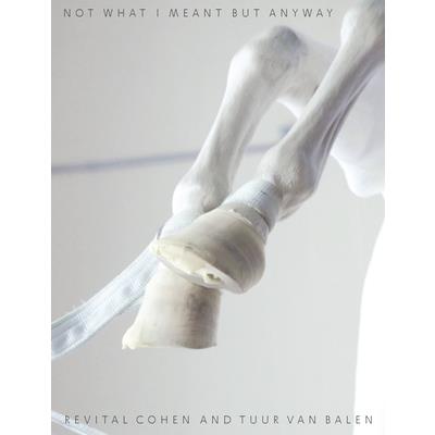 Not What I Meant But Anyway