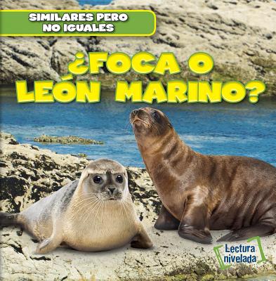 聶Foca O Le籀n Marino? (Seal or Sea Lion?)