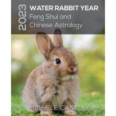 2023 Water Rabbit Year