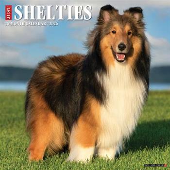Shelties 2026 12 X 12 Wall Calendar