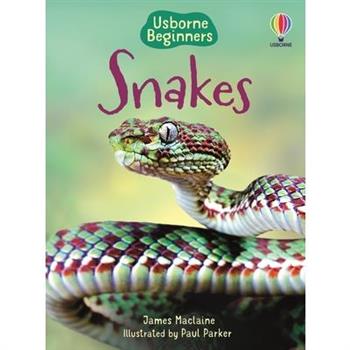 Snakes (Usborne Beginners)