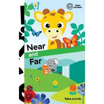 Take-A-Look Book Baby Einstein Near and Far