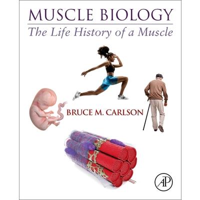 Muscle Biology