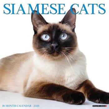 Siamese Cats 2026 12 X 12 Wall Calendar