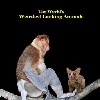 Weirdest Looking Animals in the World Kids Book