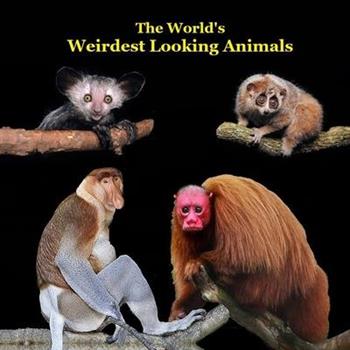 Weirdest Looking Animals in the World Kids Book