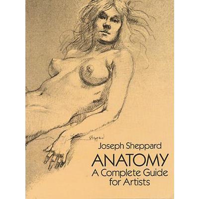 Anatomy