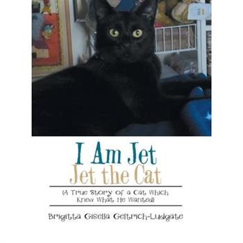 I Am Jet Jet the Cat