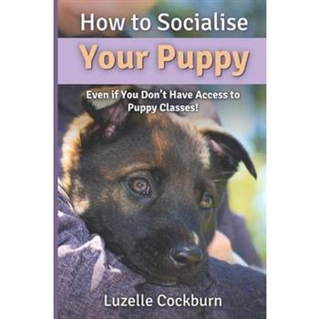 How to Socialise Your Puppy