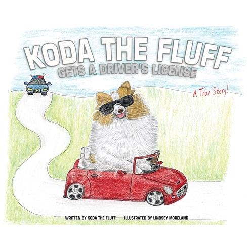 Koda the Fluff Gets a Driver’s License