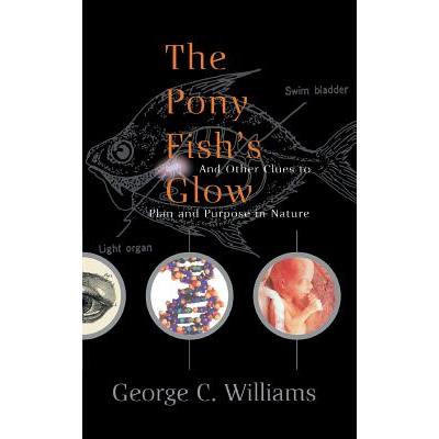 The Pony Fish’s Glow