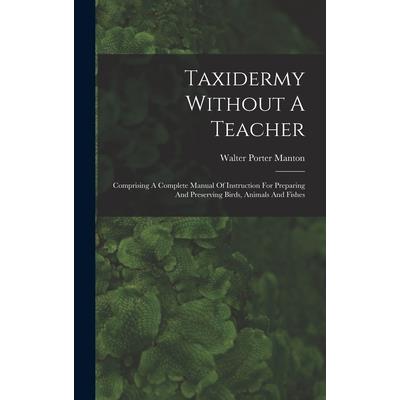 Taxidermy Without A Teacher