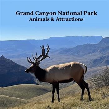 Grand Canyon Park Animals and Attractions Kids Book