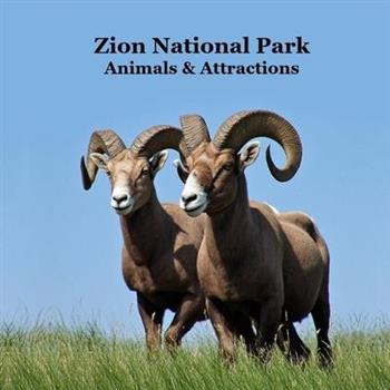 Zion National Park Animals and Attractions Kids Book