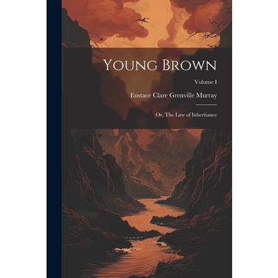 Young Brown; or, The Law of Inheritance; Volume I