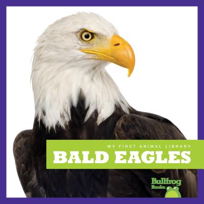 Bald Eagles