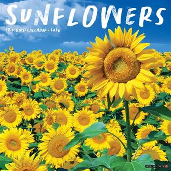 Sunflowers 2026 12 X 12 Wall Calendar