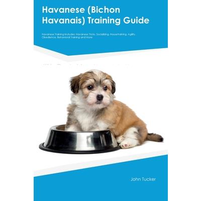 Havanese (Bichon Havanais) Training Guide Havanese Training Includes