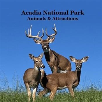 Acadia National Park Animals and Attractions Kids Book
