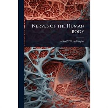 Nerves of the Human Body