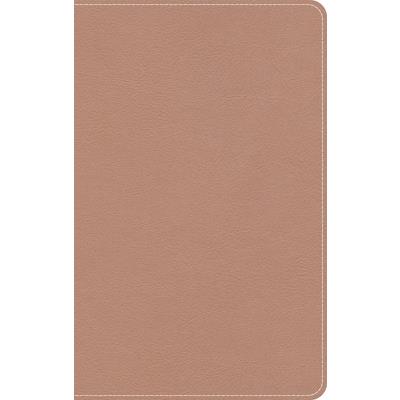 KJV On-The-Go Bible, Personal Size, Rose Gold Leathertouch