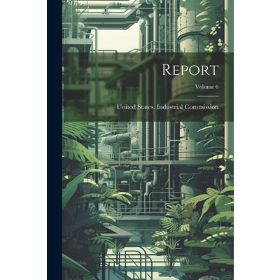 Report; Volume 6