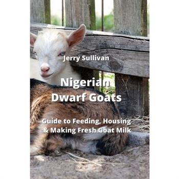 Nigerian Dwarf Goats