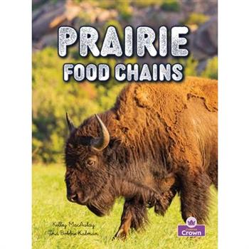Prairie Food Chains