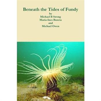 Beneath the Tides of Fundy