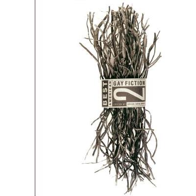 Best American Gay Fiction #2