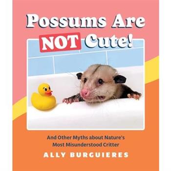 Possums Are Not Cute!