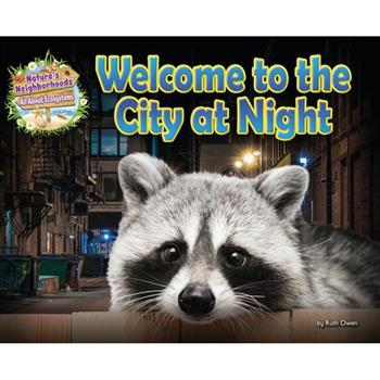 Welcome to the City at Night