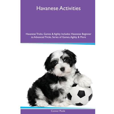 Havanese Activities Havanese Tricks, Games & Agility. Includes