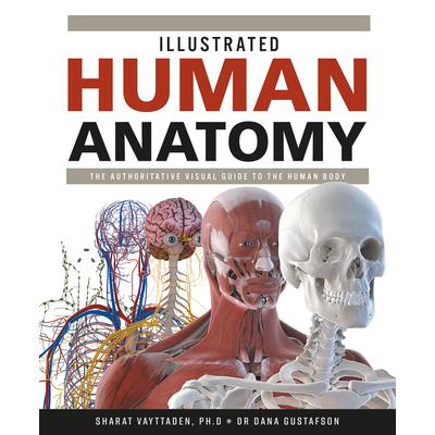 Illustrated Human Anatomy