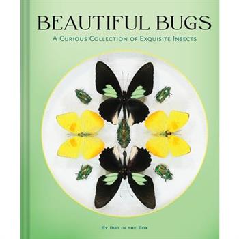 Beautiful Bugs