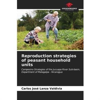Reproduction strategies of peasant household units