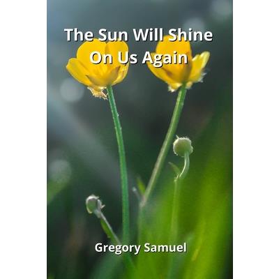 The Sun Will Shine On Us Again