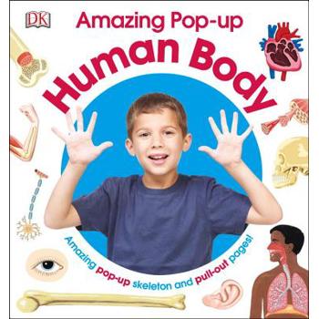 Amazing Pop-up Human Body