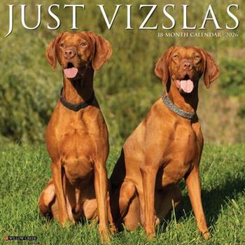 Vizslas 2026 12 X 12 Wall Calendar