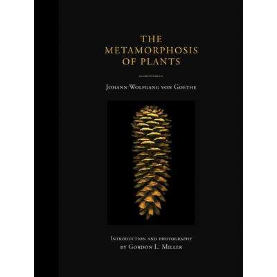 The Metamorphosis of Plants