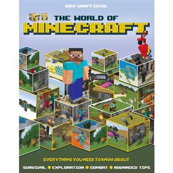 The World of Minecraft