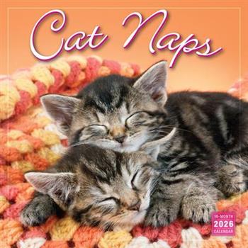 2026 Cat Naps Wall Calendar