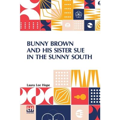 Bunny Brown And His Sister Sue In The Sunny South