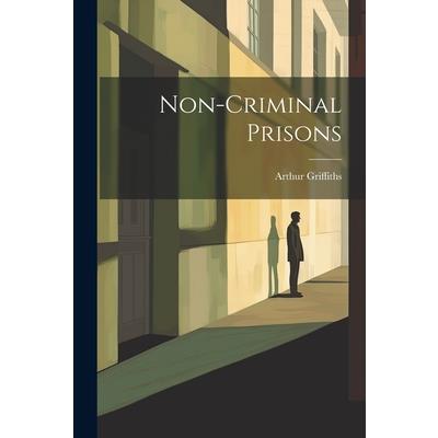 Non-Criminal Prisons